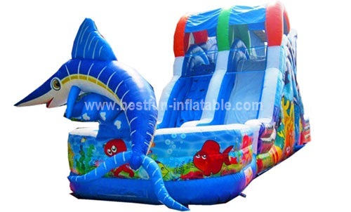 Exciting inflatable fish slide for adults