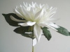 Wholesale new design decoration flower white artificial flower