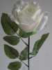 satin white single rose flower