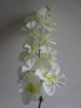 decorative artificial satin orchid Flower