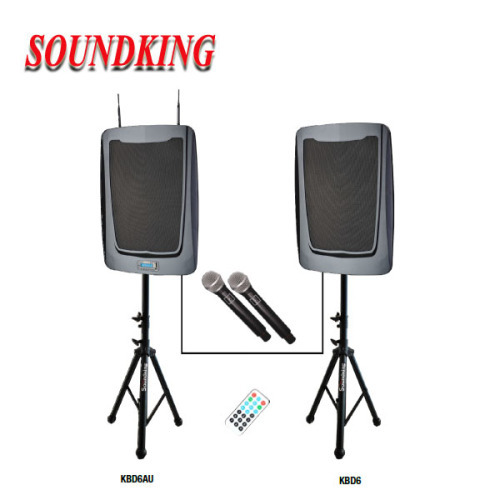 Professional Active Flat Panel Loudspeaker System