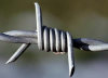 Chi Xin Barbed Wire