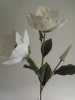 Fashion white flower artificial flowers for decoration