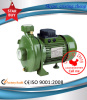 DAB Electric Centrifugal Water Pump