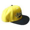 Embroidered Snapback Baseball Caps Hat for Fashion Apparel Clothing