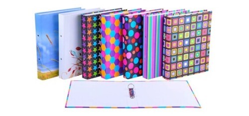 flower color / lever arch / ring binder/ fashion paper file