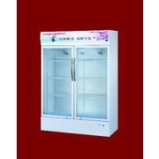 553L Two double vertical refrigerator showcase