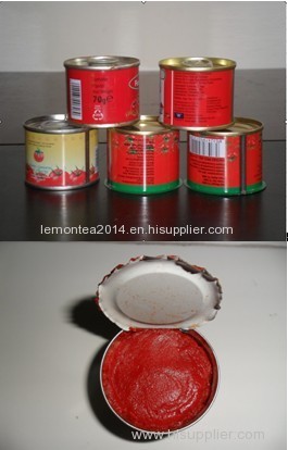 70g Canned Tomato Paste