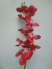 artificial PU orchid flower best seller