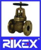 API/ANSI/ASME (SDNR) GLOBE VALVE