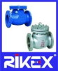 API/ ANSI/ ASME CHECK VALVE