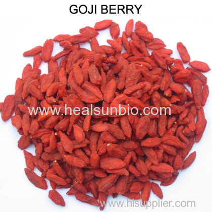 Chinese wolf berry Goji Berry