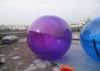Exciting Summer Aqua Park Inflatable Walking Water Ball Waterproof and High Elastic