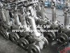 Cryogenic Stainless Steel Gate Valve