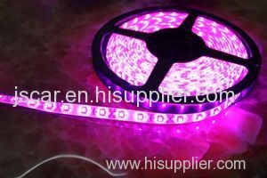 Waterproof LED Decorative Flexible Strip Light