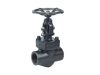 Forged Steel Gate Valve