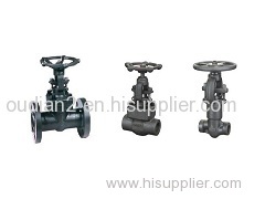 Forged Steel Globe Valve