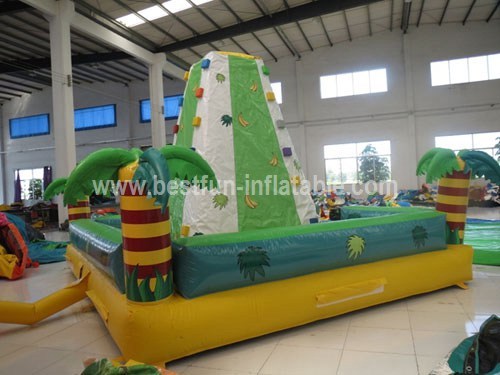 Exciting outdoor inflatable climbing wall