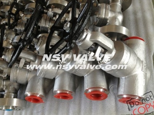 Forged Steel F304 WB globe valve