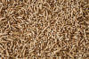 Din Plus quality Wood Pellet