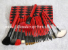 22PCS Red handle makeup brushes makeup kit