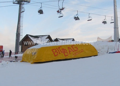 Advertisement Print Snowboard Cushion
