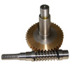 OEM ODM Customized Worm and gear