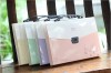 PP / A4 expanding wallet / organ bags /file collect / file folder
