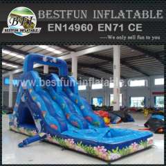 Small Undersea World Hippo Inflatable Water Slide