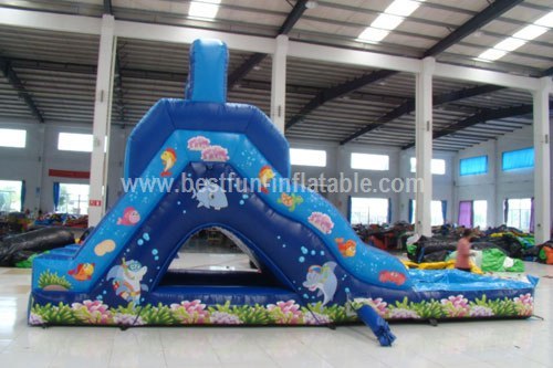 Small Undersea World Hippo Inflatable Water Slide