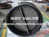 Wafer Type Dual Plate Swing Check valve