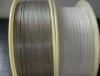 superior quality platinum coated titanium wire in coil/straight titanium price per kg