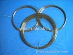 QCTI mainly products titanium wire