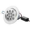 12W LED Ceiling Lamps