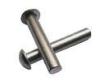 304 Stainless Steel Solid Rivets