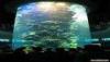 300mm cylindrical Thick Plexiglass Acrylic Aquarium Tanks high clear