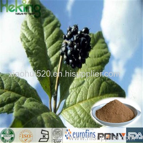 Hight quality 100% natural Siberian Ginseng Extract