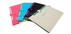 fruit color paper file