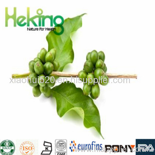 Green Coffee Bean Extract