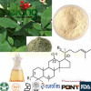 Hight quality 100% natural Ginseng Extract