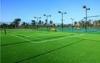 8800Dtex Green Tennis Pitches Synthetic Gauge 3/8Tennis Artificial Grass