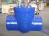 BS1868 PSC Swing Check Valve BW end
