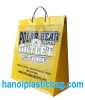 HARD HANDLE PLASTIC BAG