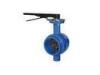 12 Inch Flanged Butterfly Valve , DN50-300 Hoop Type Butterfly Valve For Oil