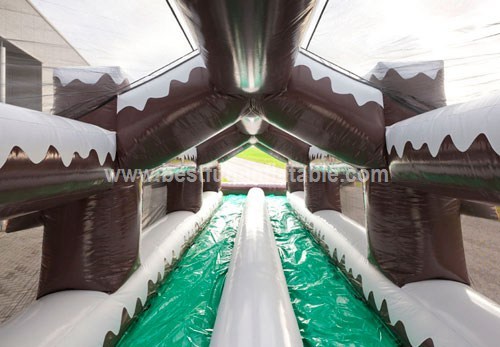 Inflatable Double Lane Slip Slide