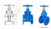 Cast Iron Gate Valve Resilient seated NRS Flanged ends BS5163