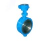 BUTTERFLY VALVE- Double Flange Metal Hard Seal Butterfly Valve