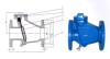 CHECK VALVE- Swing check valve