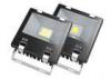 Dmx rgb outdoor led flood lights Ac85 - 265V 4000lm , Ra.80 for sculpture , clubs , hotels