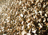 raw material of refractory magenisia